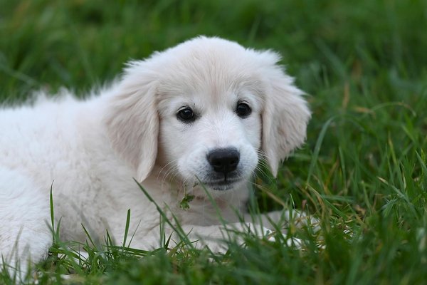 Découvrez les bienfaits de la poudre de bactéries et biofilm naturel