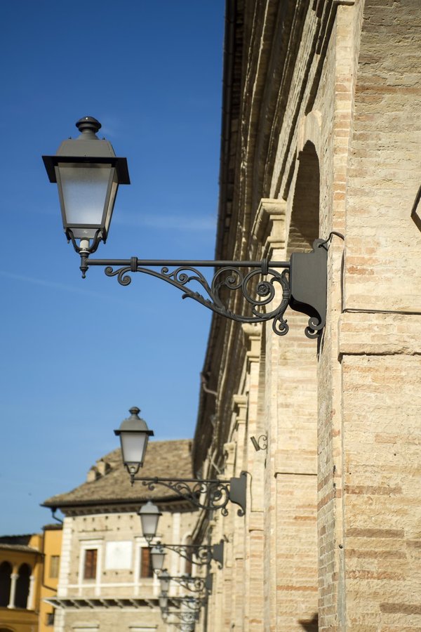 Peut-on entraîner un chat de race Toyger à marcher en laisse en milieu urbain ?