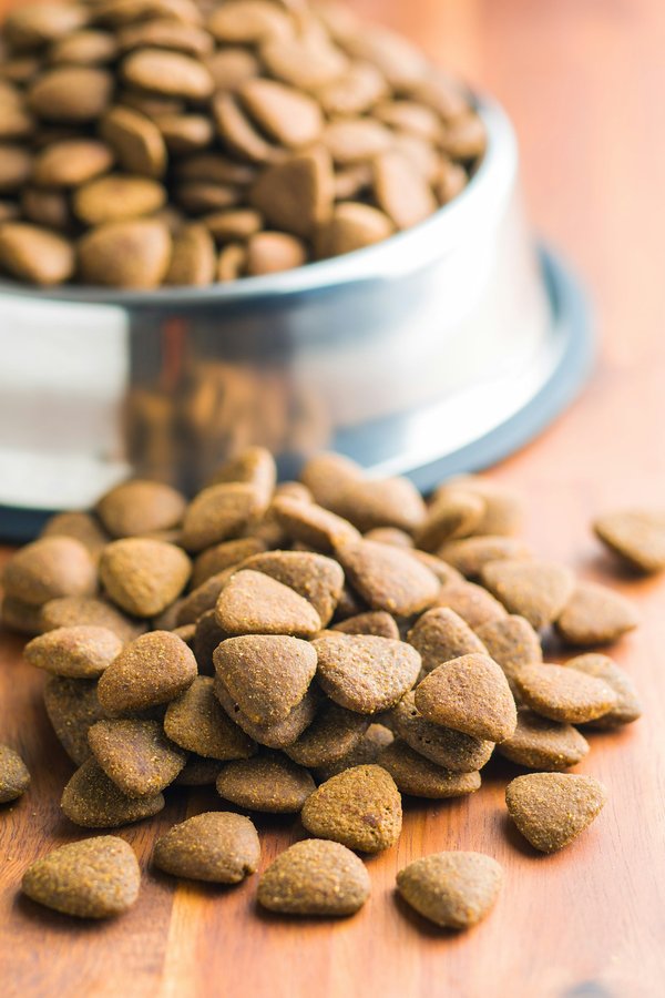 Bien choisir les croquettes pour chien : conseils essentiels